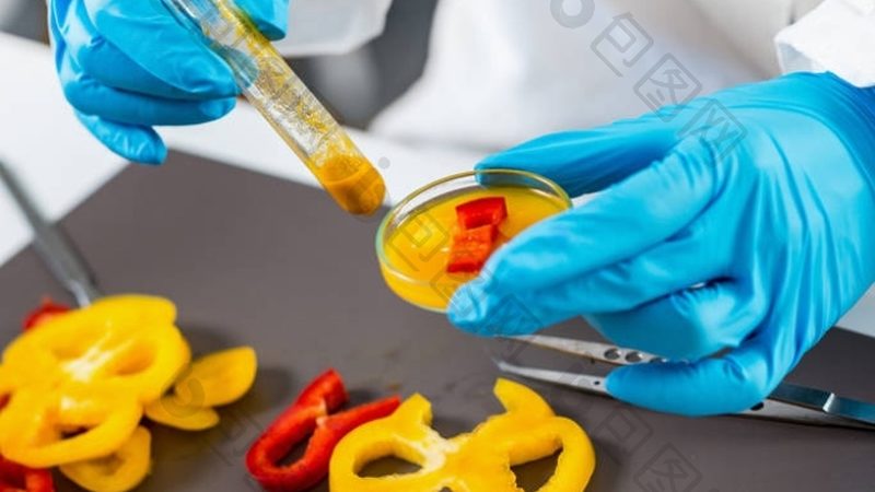 餐饮供应链生鲜食材规格参数解析：如何确保食品安全与品质**